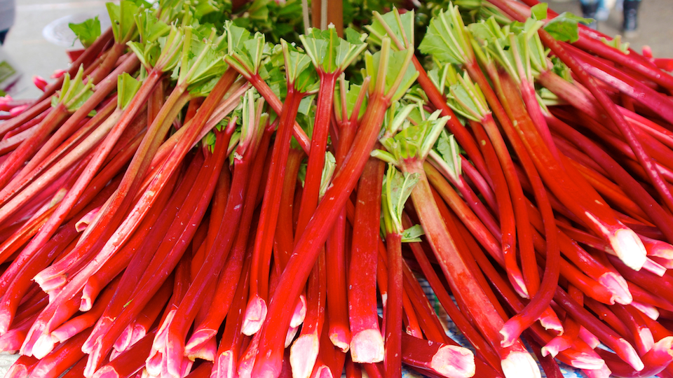 Rhubarb