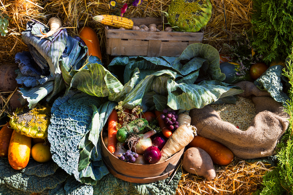 British Food - Harvest Festival